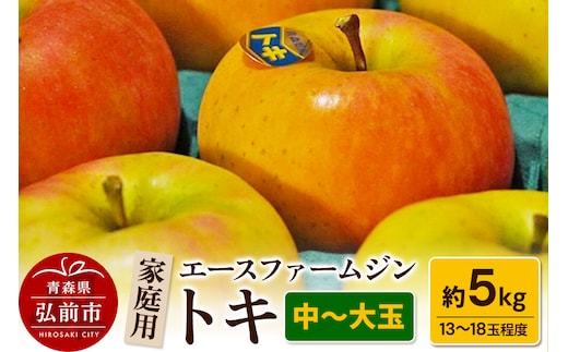 【26年9月下旬～発送】りんごトキ 家庭用 約5kg（中玉～大玉13～18玉程度）【先行受付】 青森 果物 フルーツ 林檎 リンゴ くだもの 予約 [アップル おいしい トキ りんご 黄色 果実 果物 美味 林檎]
