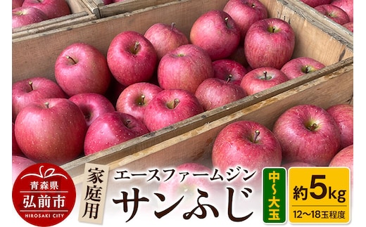 【26年11月発送】りんご【数量限定】家庭用 サンふじ 約5kg（中玉～大玉12～18玉程度）【先行受付】 青森 果物 フルーツ 林檎 リンゴ くだもの 予約 [アップル おいしい ふじ りんご 果実 果物 赤色 美味 林檎]