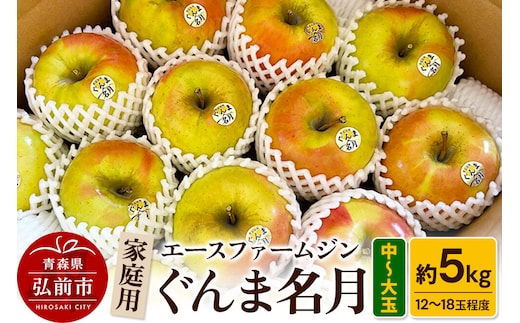 【26年10月下旬～発送】りんご家庭用ぐんま名月 約5kg（中玉～大玉12玉～18玉程度）【先行受付】 青森 果物 フルーツ 林檎 リンゴ くだもの 予約 [アップル おいしい ぐんま名月 りんご 黄色 果実 果物 美味 名月 林檎]