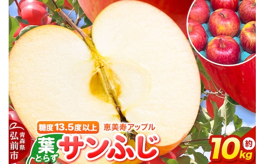 りんご 【糖度13.5度以上】サンふじ 約10kg 葉とらず 青森県 フルーツ 果物