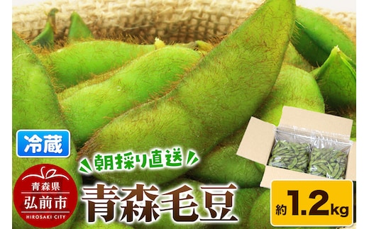 【26年9月下旬～発送】【朝採り直送 令和8年度】青森毛豆 約1.2kg 青森・津軽の秋を味わう栗のような濃厚なうまみの枝豆【先行受付】 産地直送 おつまみ 新鮮 えだまめ 野菜 予約 [毛豆 青森県 弘前市 おいしい つまみ 枝豆 大豆 茶豆 津軽 美味]