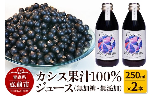 カシス果汁100％ジュース（無加糖・無添加）250ml×2本【果汁飲料】