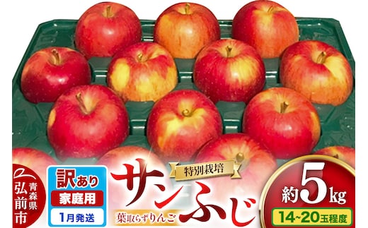 【26年1月発送】りんご 訳あり家庭用【年明け発送】葉取らず サンふじ 約5kg（14～20玉程度）青森県特別栽培農産物認証農園