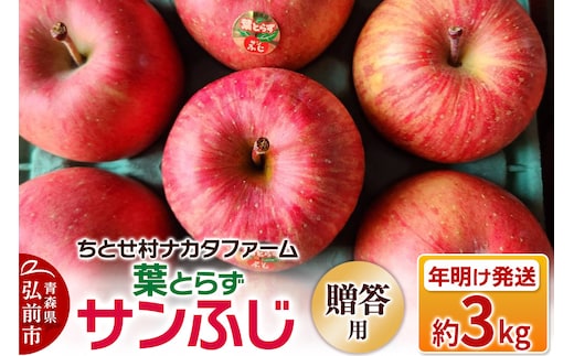 【26年1月～発送】りんご 葉とらずサンふじ 約3kg 贈答用 ちとせ村
