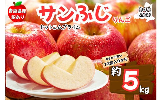 りんご【1月発送 訳あり ご家庭用】サンふじ 5kg ふじりんご 青森県産 青森 果物 フルーツ 林檎 リンゴ くだもの 弘前市