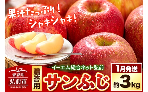 【26年1月発送】りんご 贈答用 サンふじ 約3kg 糖度 13度以上 EMりんご
