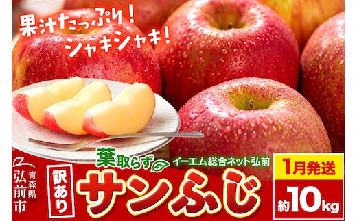 【26年1月発送】りんご【訳あり】葉取らず サンふじ 約10kg 糖度 13度以上 EMりんご