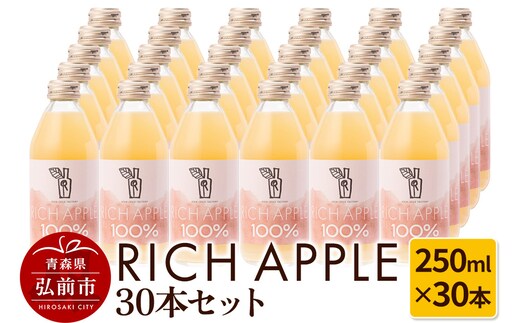 りんごジュース RICH APPLE 30本セット（250ml×30本）