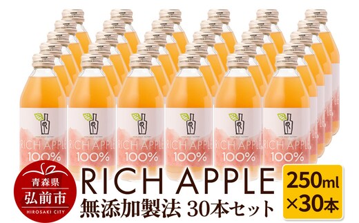 りんごジュース RICH APPLE 無添加製法 30本セット（250ml×30本）