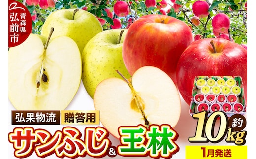 【26年1月発送】りんご 贈答用 サンふじ・王林 詰め合わせ 約10kg