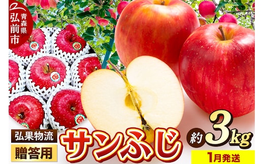 【26年1月発送】りんご 贈答用 サンふじ 約3kg