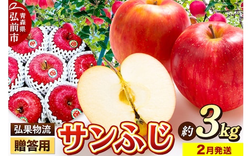 【26年2月発送】りんご 贈答用 サンふじ 約3kg