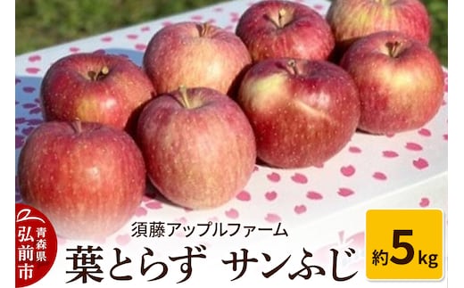 【26年1月発送】りんご 葉とらず サンふじ 約5kg