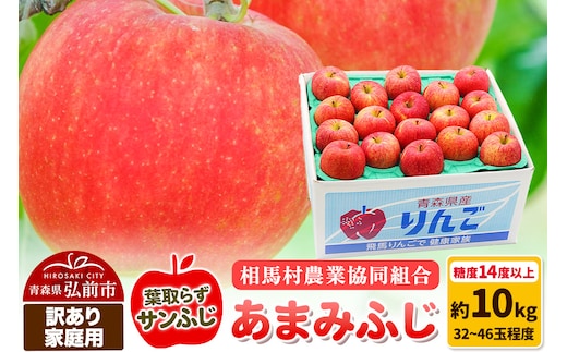 【26年3月発送】りんご 糖度14度以上【訳あり】家庭用 あまみふじ（葉取らずサンふじ）約10kg（32～46玉程度）