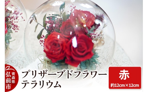 プリザーブドフラワー テラリウム【赤】約12cm×約12cm 1個