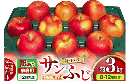 【25年12月～発送】りんご 訳あり家庭用【年内発送】葉取らず サンふじ 約3kg（8～12玉程度）青森県特別栽培農産物認証農園