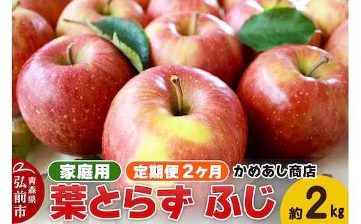 【25年12月～発送】《定期便2ヶ月》りんご 葉とらず ふじ《家庭用》約2kg ゴールド農園