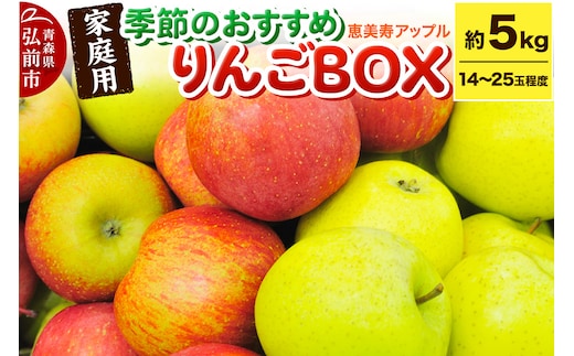 【どんな品種が届くかお楽しみ】季節のおすすめりんごBOX 詰め合わせ 約5kg 【家庭用】 青森県 フルーツ 果物