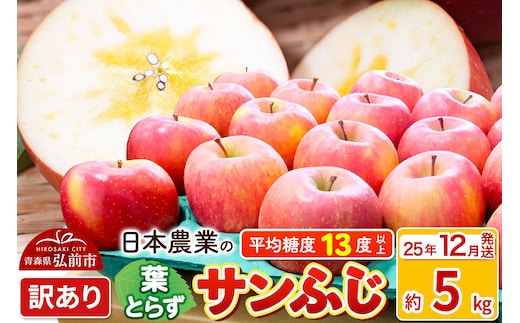 【25年12月発送】りんご 平均糖度13度以上！ 葉とらずサンふじ 約5kg 訳あり 青森 果物 フルーツ 林檎 リンゴ くだもの 不揃い 規格外