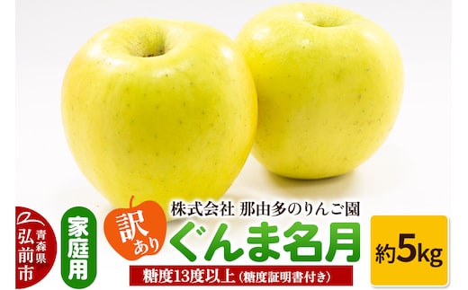 【25年11月～発送】りんご【訳あり】家庭用 ぐんま名月 約5kg 糖度13度以上（糖度証明書付）【先行受付】 青森 果物 フルーツ 林檎 リンゴ くだもの 不揃い 規格外 予約