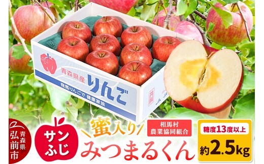 【25年11月～発送】りんご 蜜入り サンふじ（みつまるくん）約 2.5kg 糖度13度以上