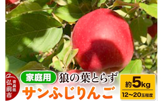 【25年12月～発送】りんご サンふじりんご 狼の葉とらず 約5kg（12玉～20玉程度）家庭用【訳あり】