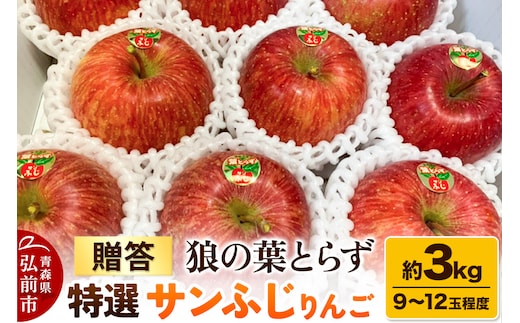 【25年12月発送】りんご サンふじりんご 狼の葉とらず 特選 約3kg（9玉～12玉程度）【贈答用】
