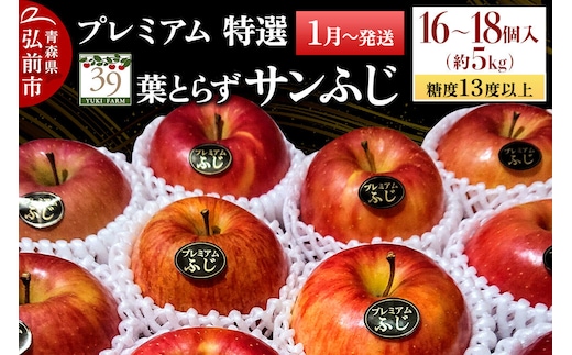 【27年1月～発送】りんご 葉とらず サンふじ【特選】約5kg（16～18個）糖度13度以上 プレミアム【数量限定】先行受付 青森県 弘前市 果物 フルーツ 林檎 リンゴ くだもの ギフト 贈り物 [先行予約 産地直送 アップル おいしい 果実 美味 甘い 赤色]