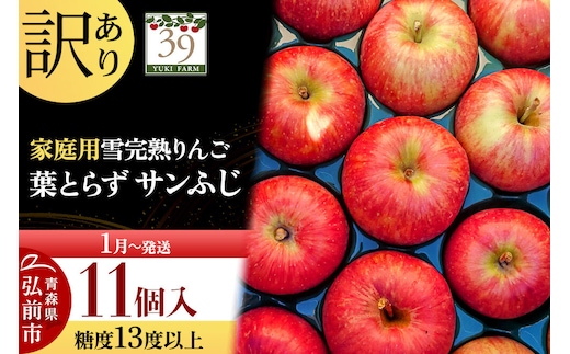 【27年1月～発送】りんご 葉とらず サンふじ【訳あり】11個 糖度13度以上 雪完熟【数量限定】家庭用 先行受付 青森県 弘前市 果物 フルーツ 林檎 リンゴ くだもの 不揃い 規格外 [先行予約 産地直送 アップル おいしい 果実 美味 甘い 赤色]