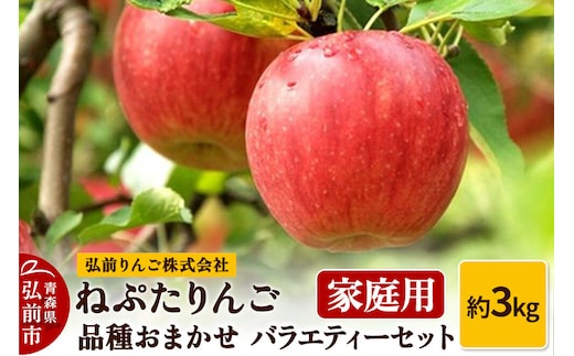 【26年9月下旬～発送】りんご ねぷたりんご バラエティーセット【家庭用】約3kg【品種おまかせ】先行受付 家庭用 青森県 弘前市 果物 フルーツ 林檎 リンゴ くだもの 不揃い 規格外 [先行予約 産地直送 詰め合わせ おまかせ セット アップル おいしい 果実 美味 甘い]