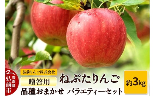 【26年9月下旬～発送】りんご ねぷたりんご バラエティーセット【贈答用】約3kg【品種おまかせ】先行受付 青森県 弘前市 果物 フルーツ 林檎 リンゴ くだもの ギフト 贈り物 [先行予約 産地直送 詰め合わせ おまかせ セット アップル おいしい 果実 美味 甘い]