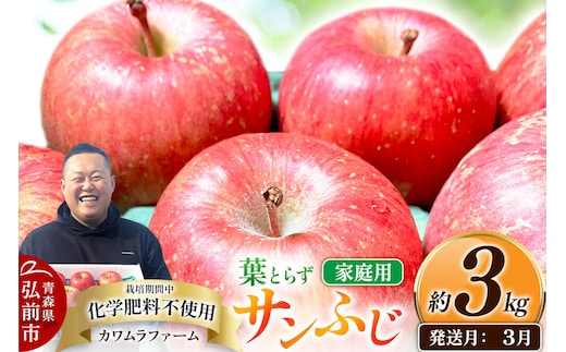 【27年3月クール便発送】りんご 葉とらず サンふじ【家庭用】約3kg【先行受付】カワムラファーム 青森県 弘前市 果物 フルーツ 林檎 リンゴ くだもの 不揃い 規格外 [先行予約 クール便 産地直送 アップル おいしい 果実 美味 甘い 赤色]