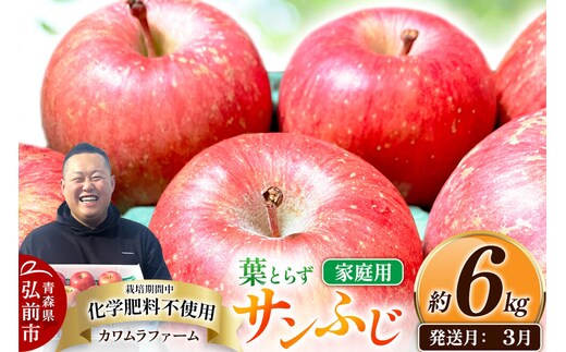 【27年3月クール便発送】りんご 葉とらず サンふじ【家庭用】約6kg【先行受付】カワムラファーム 青森県 弘前市 果物 フルーツ 林檎 リンゴ くだもの 不揃い 規格外 [先行予約 クール便 産地直送 アップル おいしい 果実 美味 甘い 赤色]
