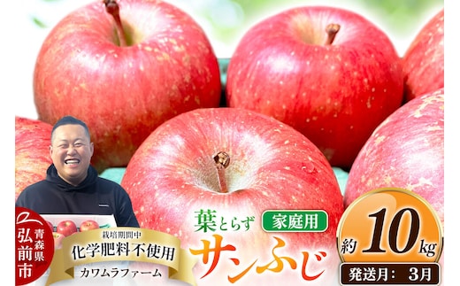 【27年3月クール便発送】りんご 葉とらず サンふじ【家庭用】約10kg【先行受付】カワムラファーム 青森県 弘前市 果物 フルーツ 林檎 リンゴ くだもの 不揃い 規格外 [先行予約 クール便 産地直送 アップル おいしい 果実 美味 甘い 赤色]