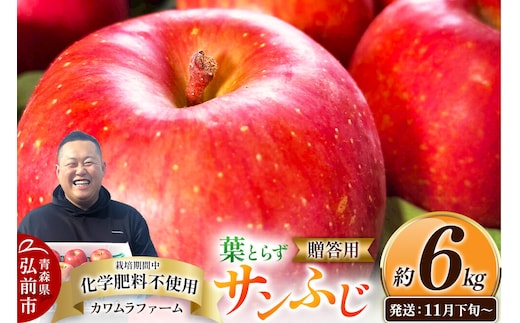 【26年11月下旬～発送】りんご 葉とらず サンふじ【贈答用】約6kg【先行受付】カワムラファーム 青森県 弘前市 果物 フルーツ 林檎 リンゴ くだもの ギフト 贈り物 [先行予約 産地直送 アップル おいしい 果実 美味 甘い 赤色]