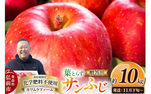 【26年11月下旬～発送】りんご 葉とらず サンふじ【贈答用】約10kg【先行受付】カワムラファーム 青森県 弘前市 果物 フルーツ 林檎 リンゴ くだもの ギフト 贈り物 [先行予約 産地直送 アップル おいしい 果実 美味 甘い 赤色]