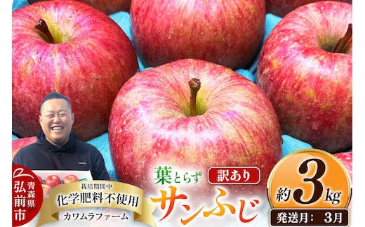 【27年3月クール便発送】りんご 葉とらず サンふじ【訳あり】約3kg【先行受付】カワムラファーム 青森県 弘前市 果物 フルーツ 林檎 リンゴ くだもの 不揃い 規格外 [先行予約 クール便 産地直送 アップル おいしい 果実 美味 甘い 赤色]