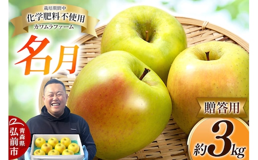 【26年10月下旬～発送】りんご 名月【贈答用】約3kg【先行受付】カワムラファーム 青森県 弘前市 果物 フルーツ 林檎 リンゴ くだもの ギフト 贈り物 [先行予約 産地直送 アップル おいしい 果実 美味 甘い 黄色]