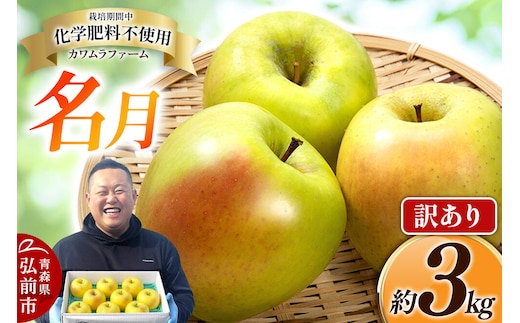 【26年10月下旬～発送】りんご 名月【訳あり】約3kg【先行受付】カワムラファーム 青森県 弘前市 果物 フルーツ 林檎 リンゴ くだもの 不揃い 規格外 [先行予約 産地直送 アップル おいしい 果実 美味 甘い 黄色]