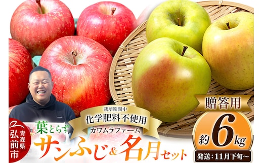 【26年11月下旬～発送】りんご 葉とらず サンふじ＆名月 セット【贈答用】約6kg【先行受付】カワムラファーム 青森県 弘前市 果物 フルーツ 林檎 リンゴ くだもの ギフト 贈り物 [先行予約 産地直送 詰め合わせ ギフト 贈り物 お歳暮 アップル おいしい 果実 美味 甘い 赤色 黄色]