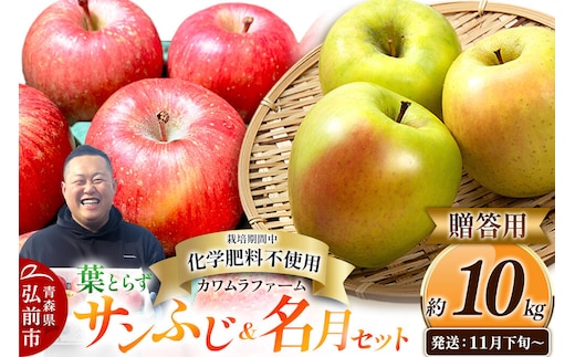 【26年11月下旬～発送】りんご 葉とらず サンふじ＆名月 セット【贈答用】約10kg【先行受付】カワムラファーム 青森県 弘前市 果物 フルーツ 林檎 リンゴ くだもの ギフト 贈り物 [先行予約 産地直送 詰め合わせ ギフト 贈り物 お歳暮 アップル おいしい 果実 美味 甘い 赤色 黄色]