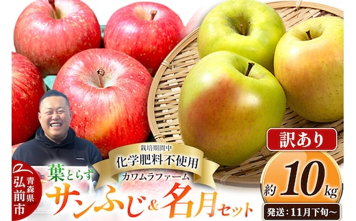【26年11月下旬～発送】りんご 葉とらず サンふじ＆名月 セット【訳あり】約10kg【先行受付】カワムラファーム 青森県 弘前市 果物 フルーツ 林檎 リンゴ くだもの 不揃い 規格外 [先行予約 産地直送 詰め合わせ アップル おいしい 果実 美味 甘い 赤色 黄色]