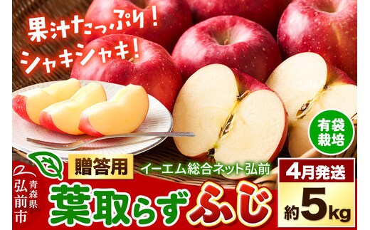 【26年4月クール便発送】りんご 贈答用 葉取らず ふじ 約5kg（有袋栽培・CA貯蔵）EMりんご [アップル おいしい お歳暮 お中元 ギフト はとらず ふじ プレゼント りんご 果実 果物 取ら 赤色 贈り物 贈答用 美味 葉っぱ 葉とらず 林檎]