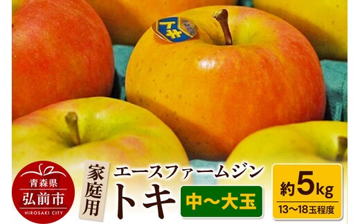 【26年9月下旬～発送】りんごトキ 家庭用 約5kg（中玉～大玉13～18玉程度） 青森 果物 フルーツ 林檎 リンゴ くだもの [アップル おいしい トキ りんご 黄色 果実 果物 美味 林檎]