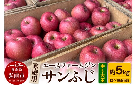 【26年11月発送】りんご【数量限定】家庭用 サンふじ 約5kg（中玉～大玉12～18玉程度）【先行受付】 青森 果物 フルーツ 林檎 リンゴ くだもの 予約 [アップル おいしい ふじ りんご 果実 果物 赤色 美味 林檎]