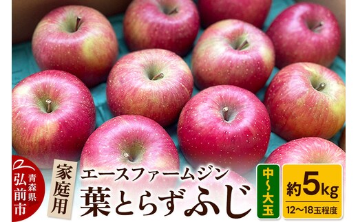 【26年11月発送】りんご【数量限定】家庭用 葉とらず ふじ 約5kg（中玉～大玉12～18玉程度）【先行受付】 青森 果物 フルーツ 林檎 リンゴ くだもの 予約 [アップル おいしい はとらず ふじ りんご 果実 果物 取ら 赤色 美味 葉っぱ 葉とらず 林檎]