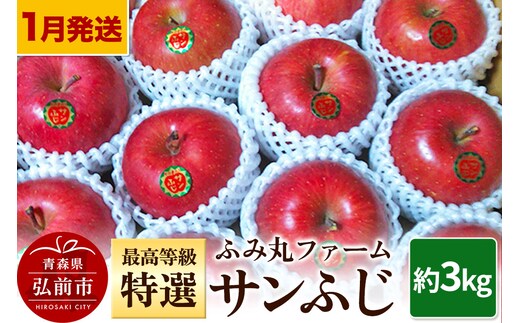 【26年1月～発送】りんご ふみ丸ファーム 最高等級「特選」サンふじ 約3kg