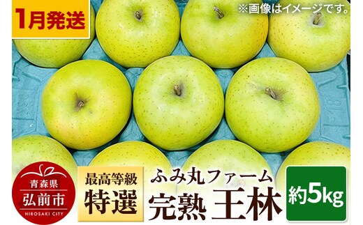 【26年1月～発送】りんご ふみ丸ファーム 最高等級「特選」完熟 王林 約5kg