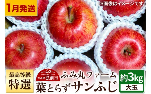 【26年1月～発送】りんご 最高等級「特選」大玉 葉とらず サンふじ 約3kg 糖度14度以上
