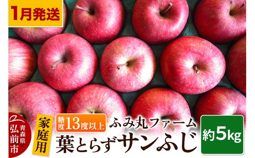 【26年1月～発送】りんご【家庭用】葉とらず サンふじ 約5kg 糖度13度以上